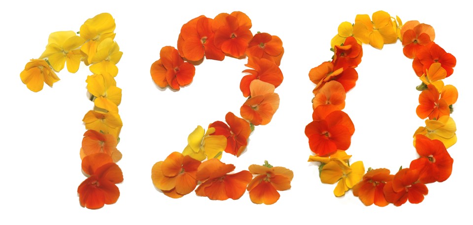 图片8