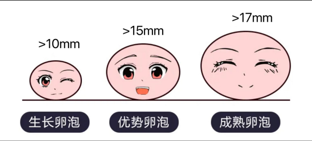 592b2563960fc6399e89fc544840a01
