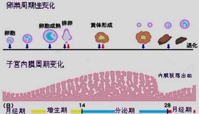 图片 102