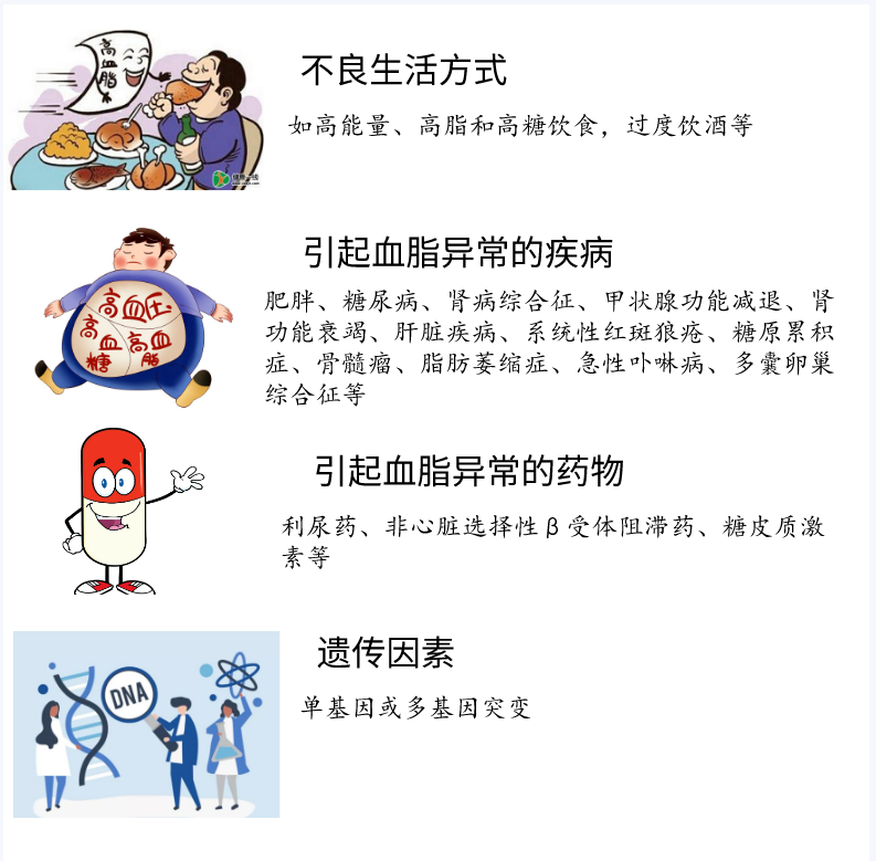 图片 3