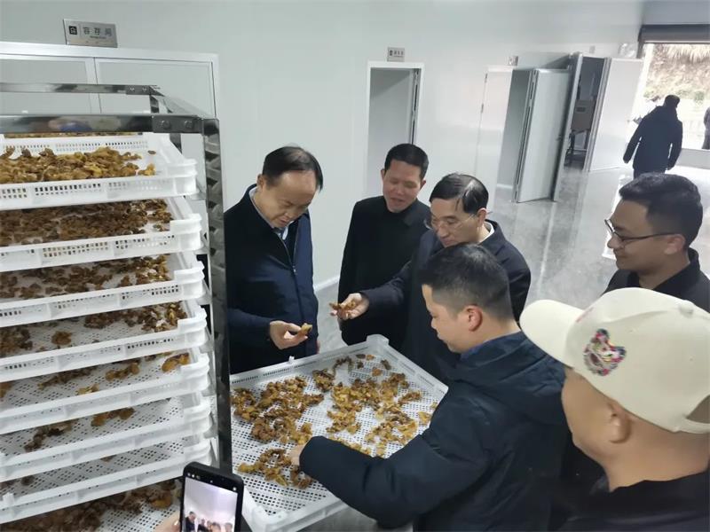 微信图片_20230116092639.jpg