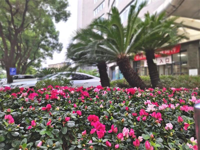 综合楼.jpg