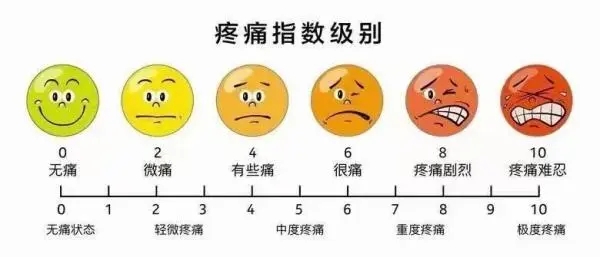 u=4161845337,686155578&fm=253&fmt=auto&app=120&f=JPEG.webp