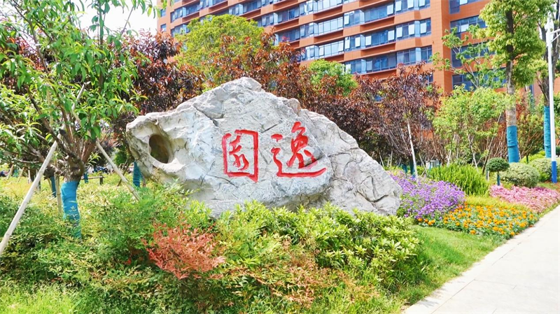 图片8.png