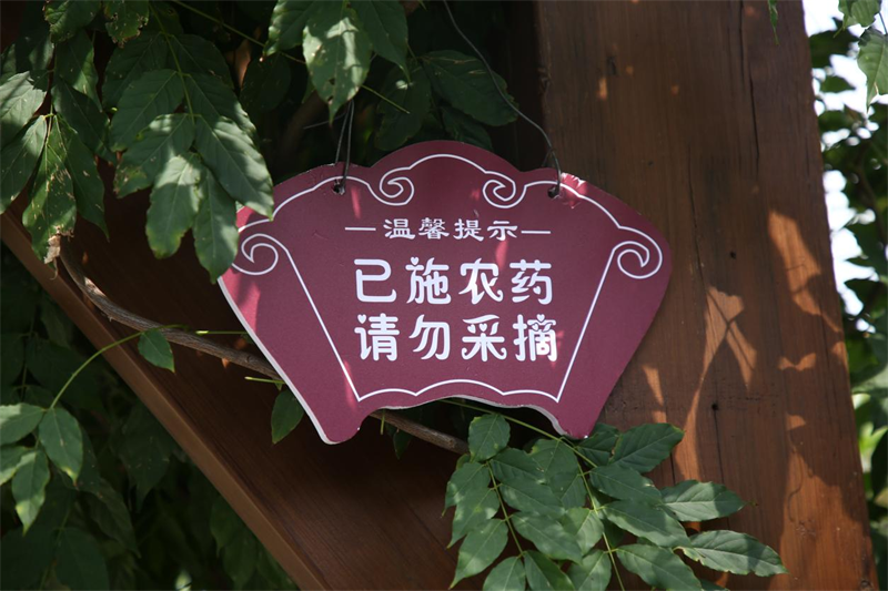 图片11.png