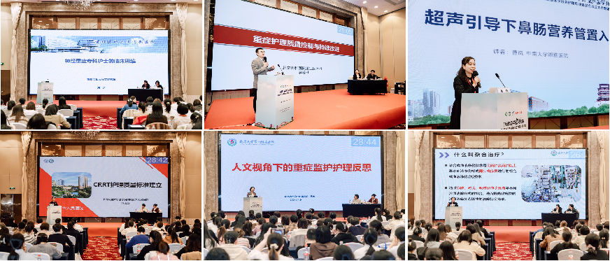 微信图片_20241118100805