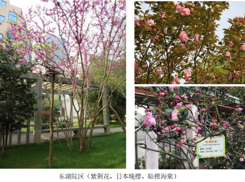 微信图片_20220315093950.png