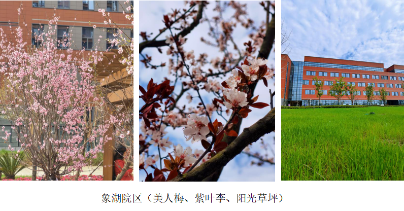 微信图片_20220315094001.png