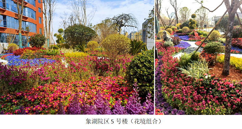 微信图片_20220315094008.png