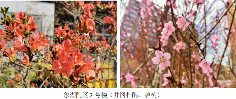 微信图片_20220315094004.png
