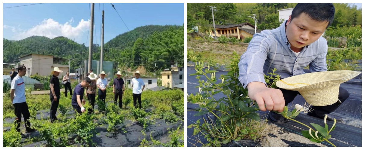 农村.jpg